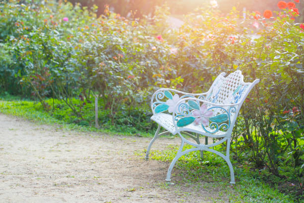 istock empty bench in the flower garden green park. 649128836