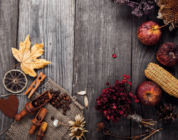 istock dry plants and fruit still life on a wooden table 649136340