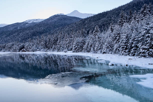 istock Winter on the Lutak Inlet 649140942