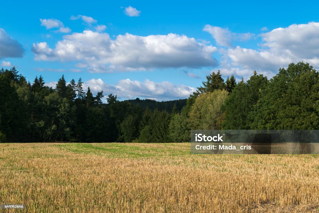 国側エルベ砂岩山脈ラーテンザクセンスイス国立公園ザクシェシュヴァイツ国立公園ドイツヨーロッパのフィールド クライミングのストックフォトや