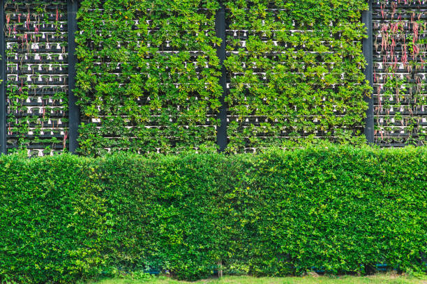 istock Green grass wall, eco and modern vertical garden nature fresh wall. 649143584