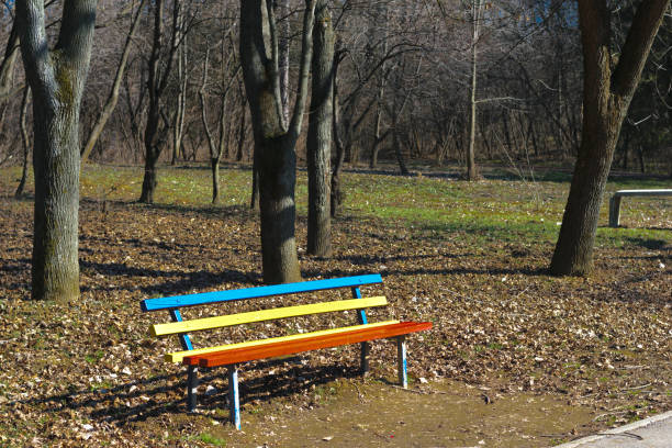 istock Vibrant colored red, yellow and blue bench, midday in spring time forest park 649145324