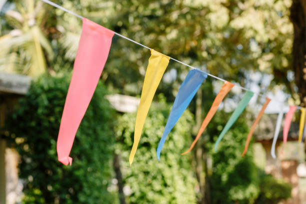 istock Triangle flags hanging on the rope against the blue sky and tree.  with natural lighting. Multi colored triangular flags on celebration party. 649148530
