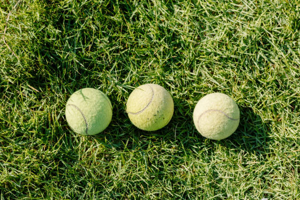 istock Three Tennis ball on the lawn 649148550