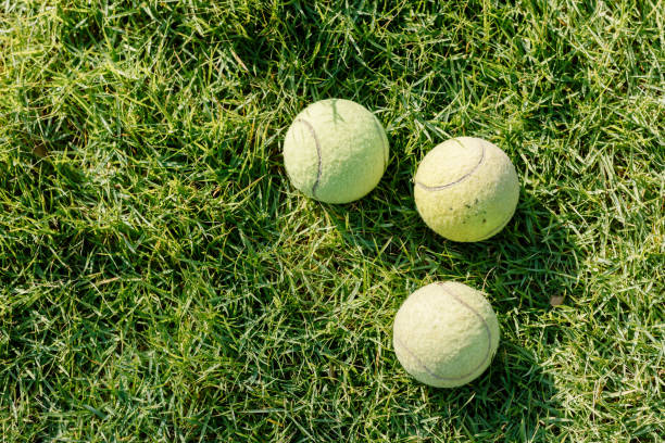 istock Three Tennis ball on the lawn 649148554