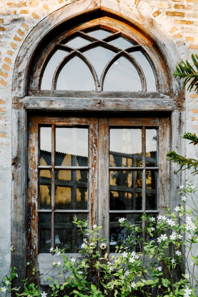 istock Flowers outside the window 649148700