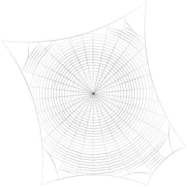 istock Spiderweb. Isolated on white background. Sketch illustration. 649151466