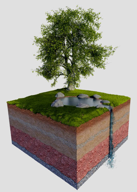istock The section of land. 649151824