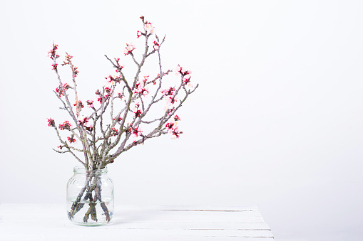 pink blossoming peach flower branches at fruit jar on white wooden table