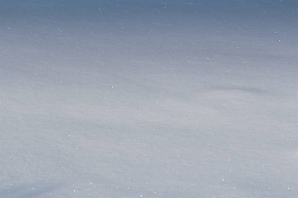 istock The surface of the snow 649152420