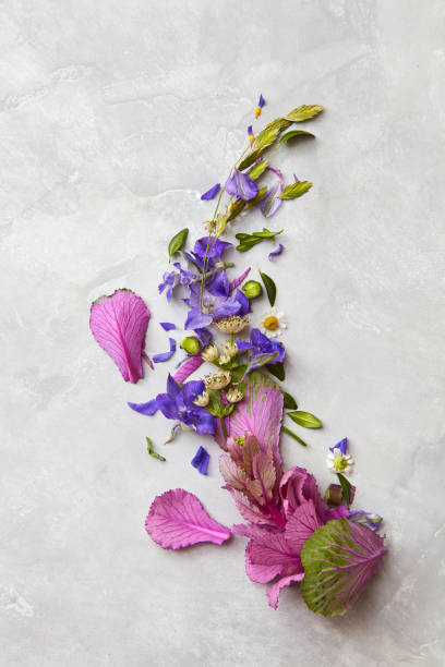 istock Composition of flowers on grey background 649152450