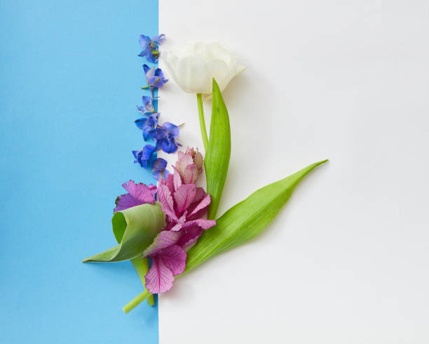 istock Composition of flowers on background 649152904