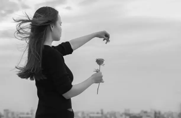 Photo of A romantic woman looking over city view while hold a rose, playing he loves me, he loves me not, wishfully thinking in black and white.