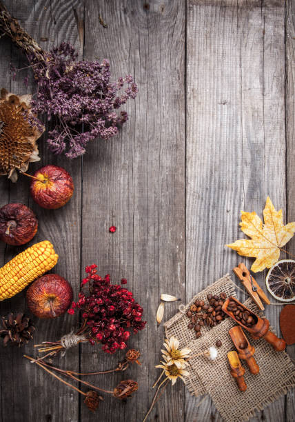 istock dry plants and fruit still life on a wooden table, 649156094