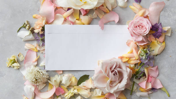 istock Composition of flowers on grey background 649156098