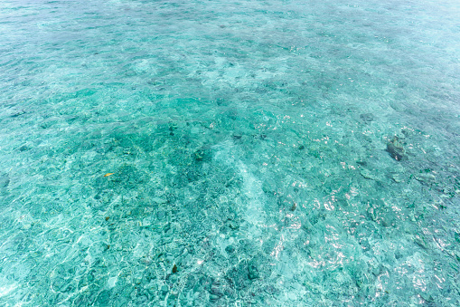 Crystal clear turquoise sea in tropical Maldives island