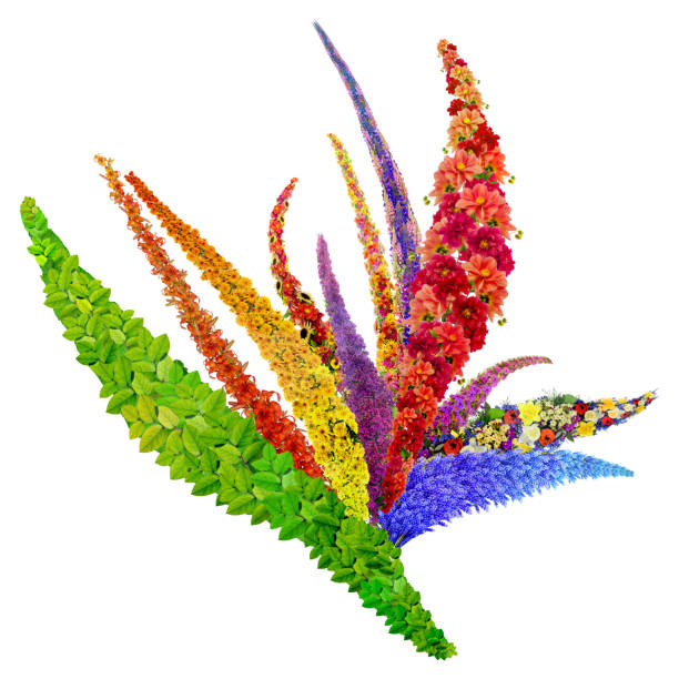 istock Paradise bird flower abstract image made from vivid summer plants. Isolated handmade collage 649179376
