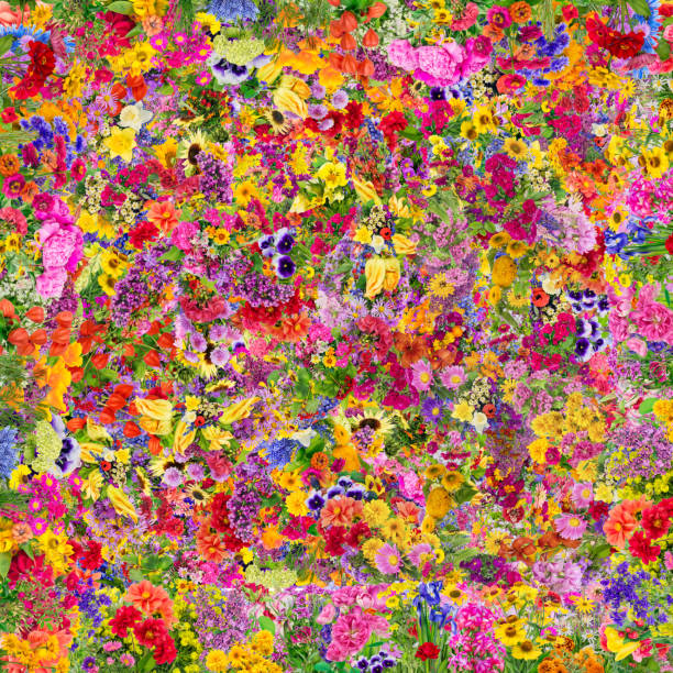 istock Summer square meadow concept is made from bright  summer flowers. Abstract handmade collage 649179668