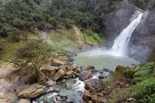 istock Waterfall landscape in Sri Lanka 649182622