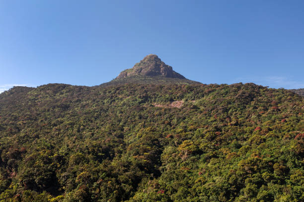 istock Sacred Mount Adam's Peak. Sri Lanka. 649182792