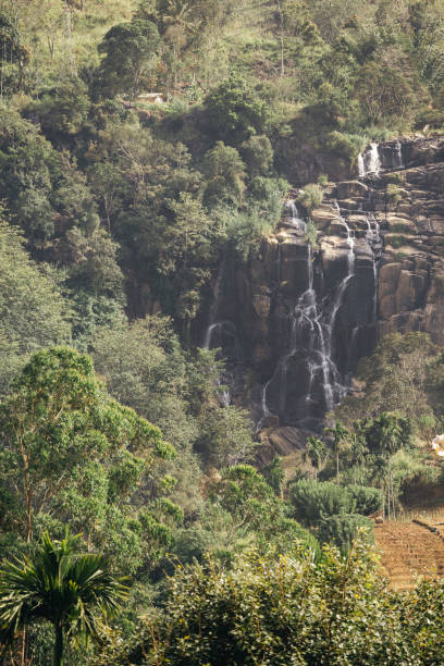 Falls on the way to Mount Ella Rock. Sri Lanka. Waterfall on the way to Mount Ella Rock. Sri Lanka. ella sri lanka stock pictures, royalty-free photos & images
