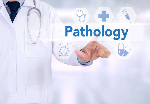 istock Pathology  diagnosis in pathology laboratory , Disease thinking 649191068