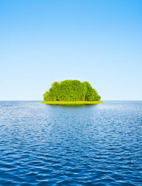 Green island among the water