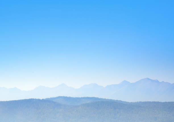 istock Landscape with mountains, forest and sky 649191466