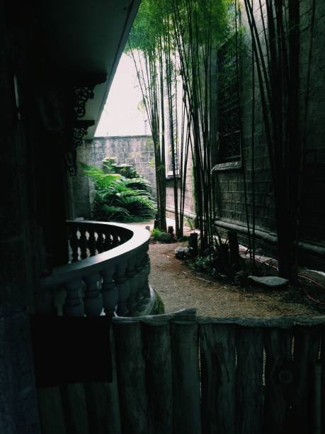istock A peaceful pilgrimage with a bamboo plant on the side 649192070