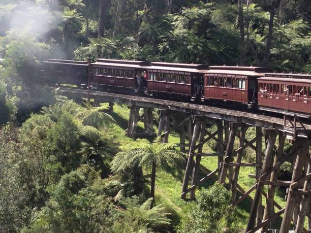 istock Steam train on wooden bridge 5 649199194