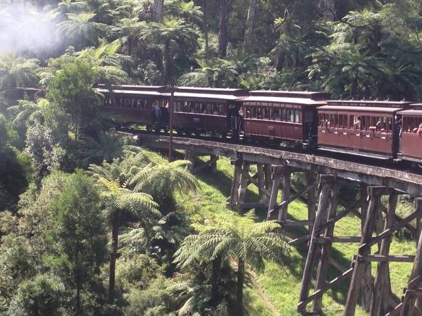 istock Steam train on wooden bridge 3 649199460