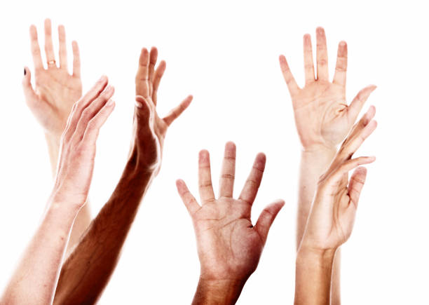 istock Six mixed hands reaching upward on white background 649211528