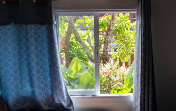 istock View on green nature from home window 649222488