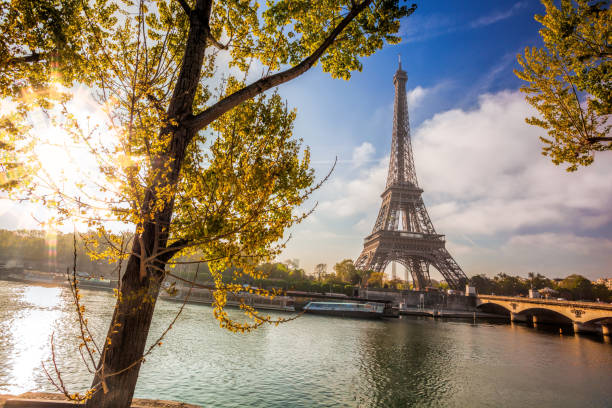 istock Eiffel Tower during spring time in Paris, France 649223628