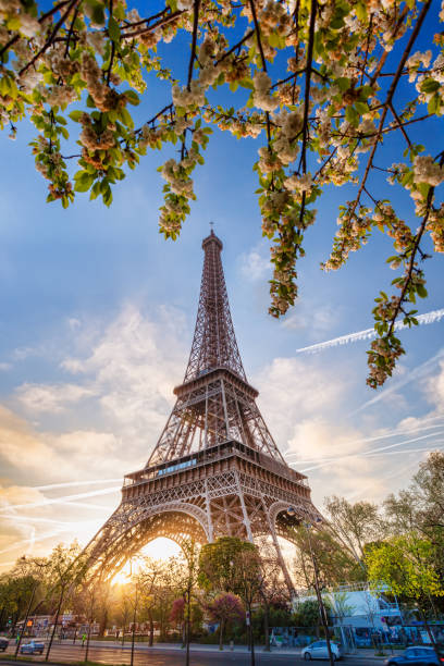 istock Eiffel Tower during spring time in Paris, France 649224148