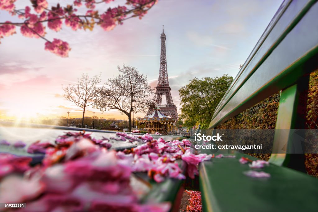 Eiffel Tower during spring time in Paris, France Paris - France Stock Photo