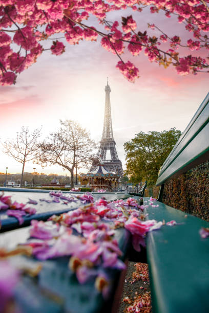 torre eiffel durante a primavera, em paris, frança - spring magnolia flower sky - fotografias e filmes do acervo