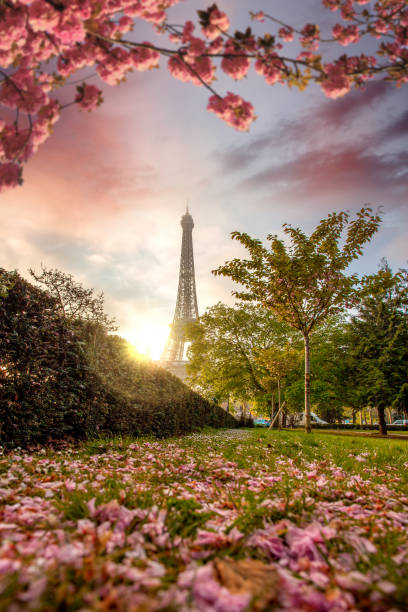 istock Eiffel Tower during spring time in Paris, France 649233170