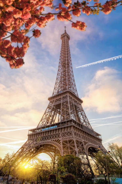 istock Eiffel Tower during spring time in Paris, France 649233262