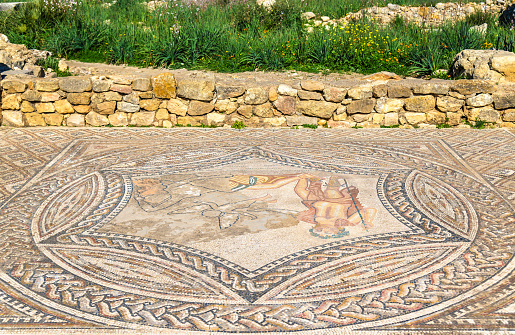 Ancient mosaic at Volubilis, a UNESCO heritage site in Morocco