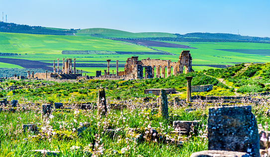 Panorama of the antique city of Volubilis, the capital of the kingdom of Mauretania and a UNESCO heritage site in Morocco