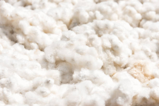 cotton harvest from field cotton harvest from field cotton cotton ball fiber white stock pictures, royalty-free photos & images