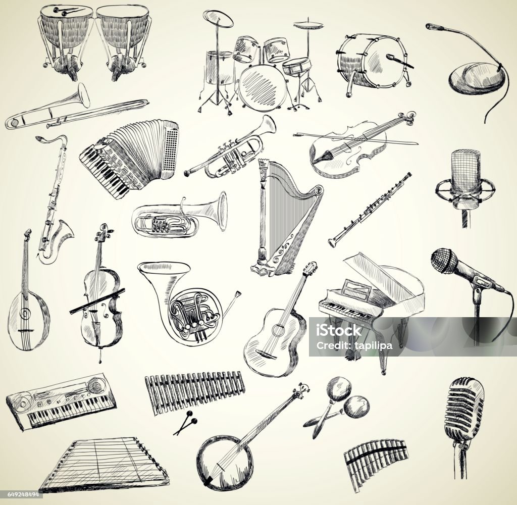 Vector musical instruments hand drawn set of classical musical instruments Musical Instrument stock vector