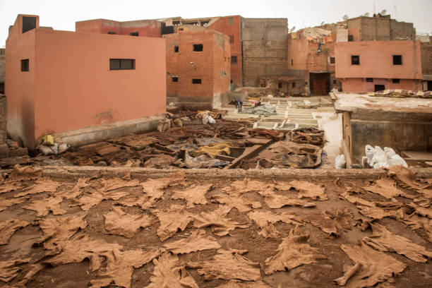 istock Leather in a tannery, Marrakesh, Morocco 649248824