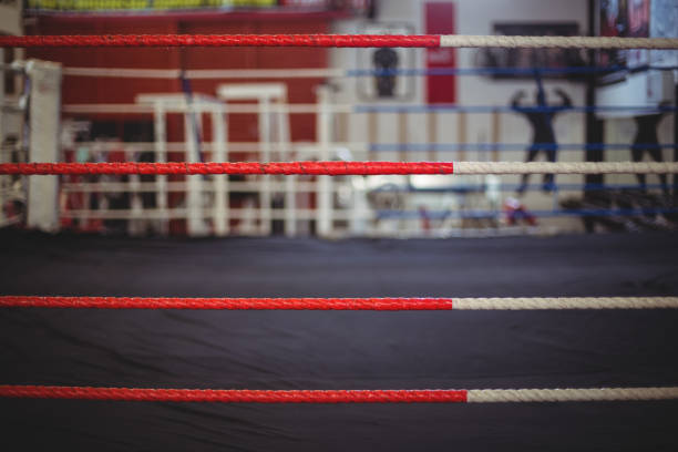 istock Rope of boxing ring 649249532