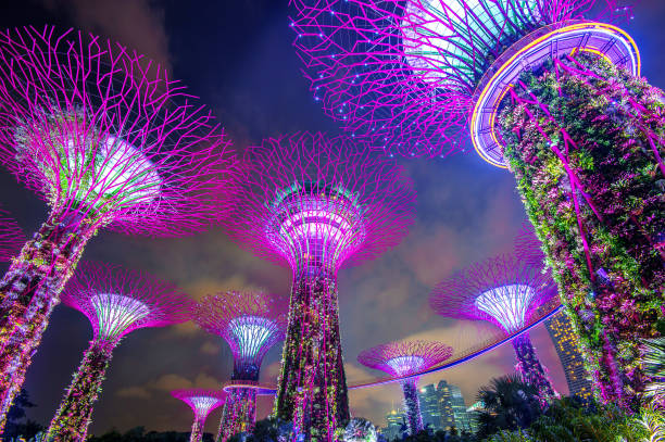 super árbol en el jardín por la bahía, singapur. - jardines colgantes de la bahía de singapur fotos fotografías e imágenes de stock
