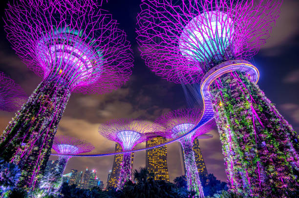 super arbre jardin près de la baie, singapour. - gardens by the bay photos et images de collection