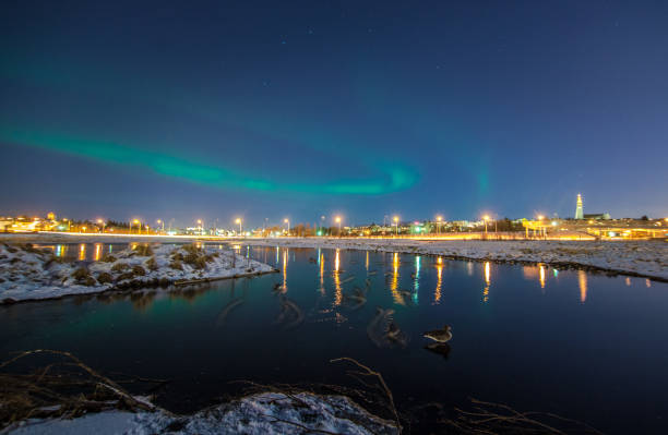 istock Northern Lights (Aurora Borealis) over Reykjavik, Iceland 649266864