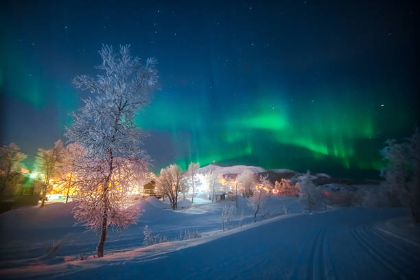 istock Northern lights (Aurora Borealis) over arctic tundra 649267058