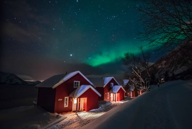 istock Northern lights (Aurora Borealis) in Norway 649267068